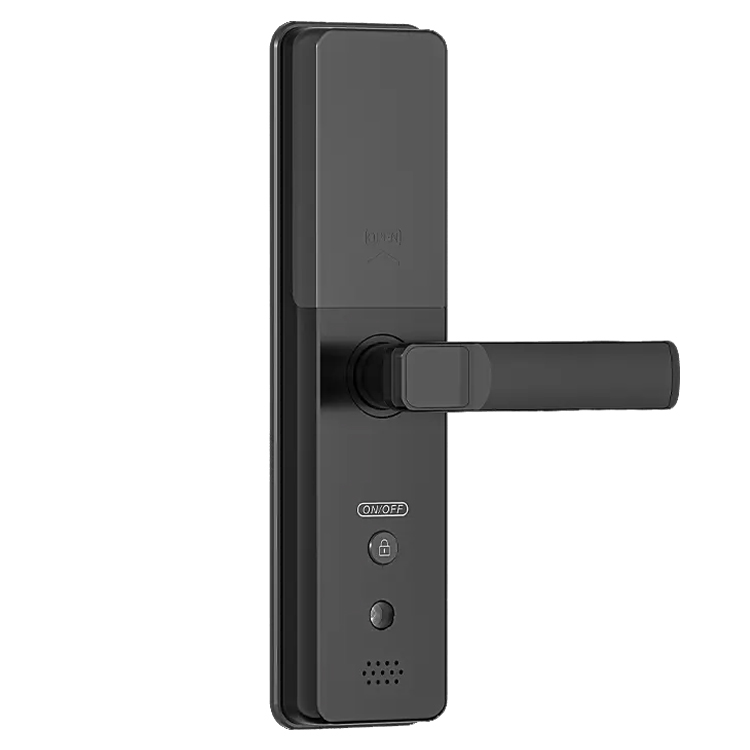 Smart Door Lock WD2